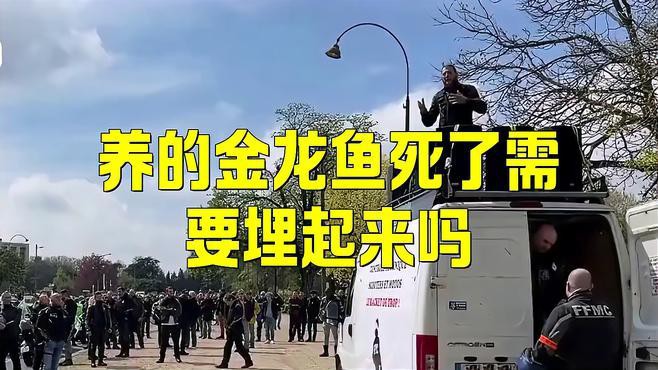 如何科學處理龍魚的遺體？