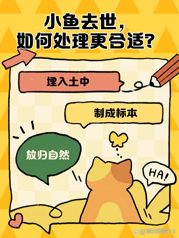 如何科學處理龍魚的遺體？