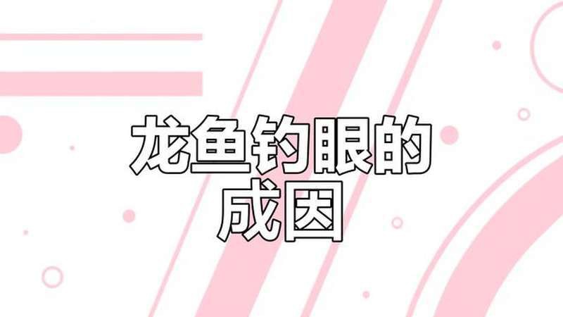 如何科學處理龍魚的遺體？
