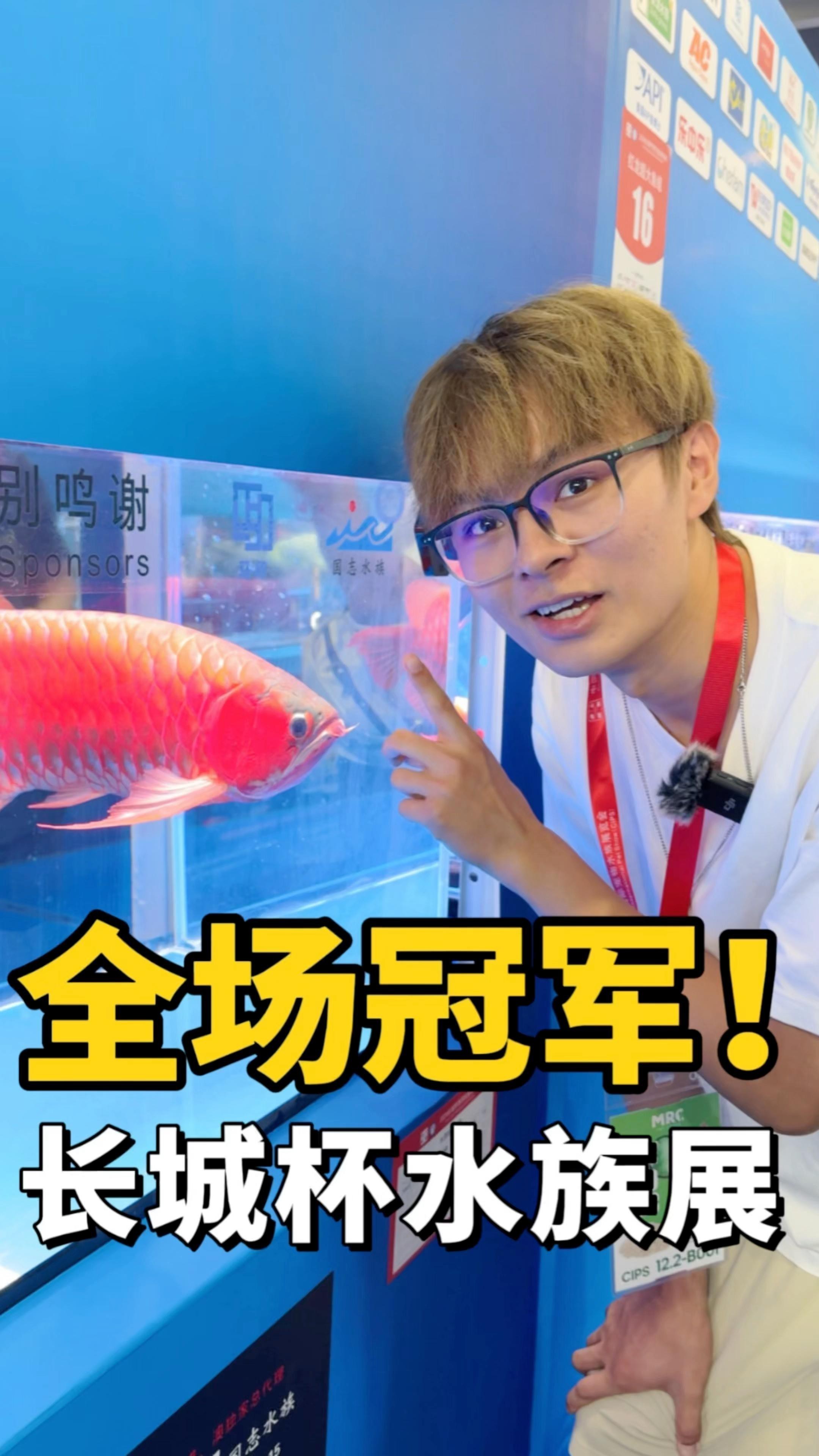 有沒(méi)有更多龍魚賽事視頻推薦？ 有沒(méi)有更多龍魚賽事視頻推薦？ 龍魚百科 第3張