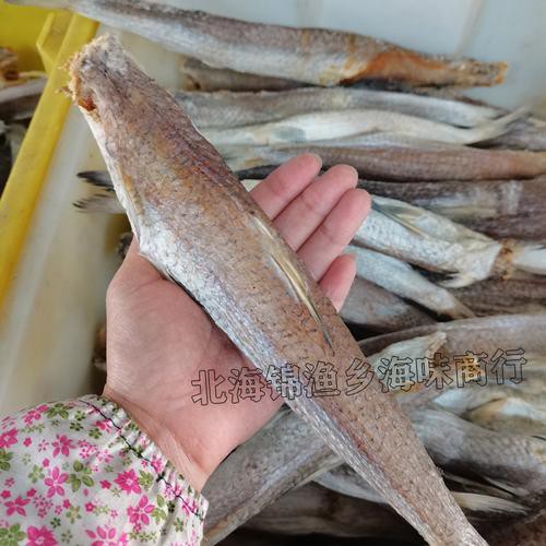 北海龍魚圖片欣賞大全集