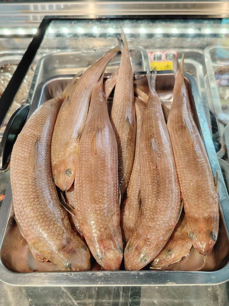 北海龍魚圖片欣賞大全集