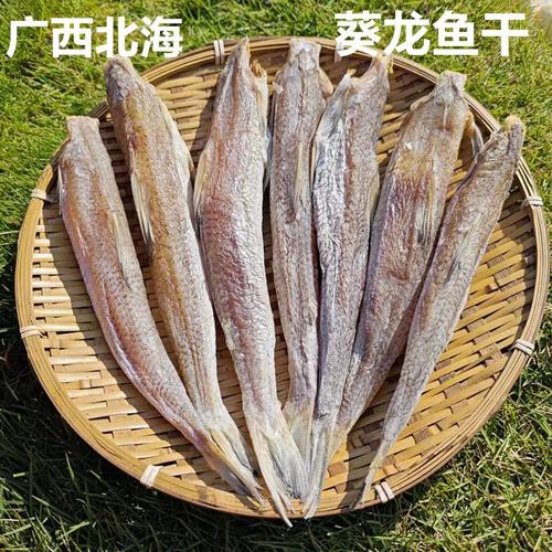 北海龍魚圖片欣賞大全集