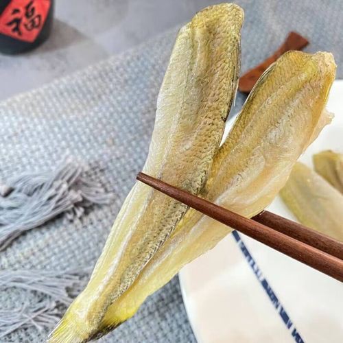 北海龍魚圖片欣賞大全集