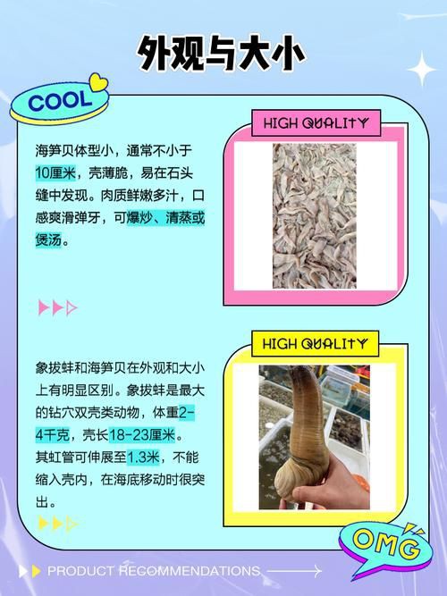 海象愛吃什么食物圖片，海象的食物種類及主要分布區域滿滿農鄉情