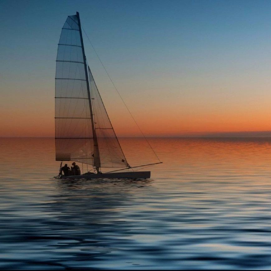 海象愛吃什么食物圖片，海象的食物種類及主要分布區域滿滿農鄉情