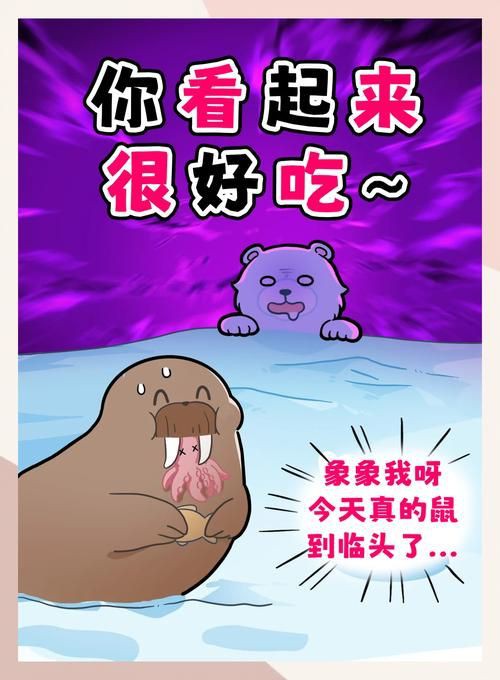 海象愛吃什么食物圖片，海象的食物種類及主要分布區域滿滿農鄉情