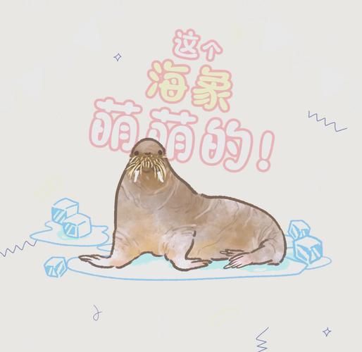 海象愛吃什么食物圖片，海象的食物種類及主要分布區域滿滿農鄉情