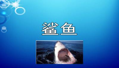 仟湖龍魚飼料為什么那么貴（仟湖的紅龍飼料怎么樣） 仟湖龍魚飼料為什么那么貴（仟湖的紅龍飼料怎么樣） 仟湖 第2張