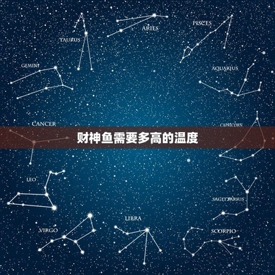 潼南哪里有賣魚缸的 潼南賣魚缸的地方 潼南哪里有賣魚缸的 潼南賣魚缸的地方 yee 第2張