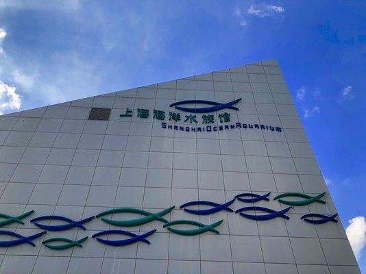 水族館開放時間是幾點（水族館開放時間怎么查詢）