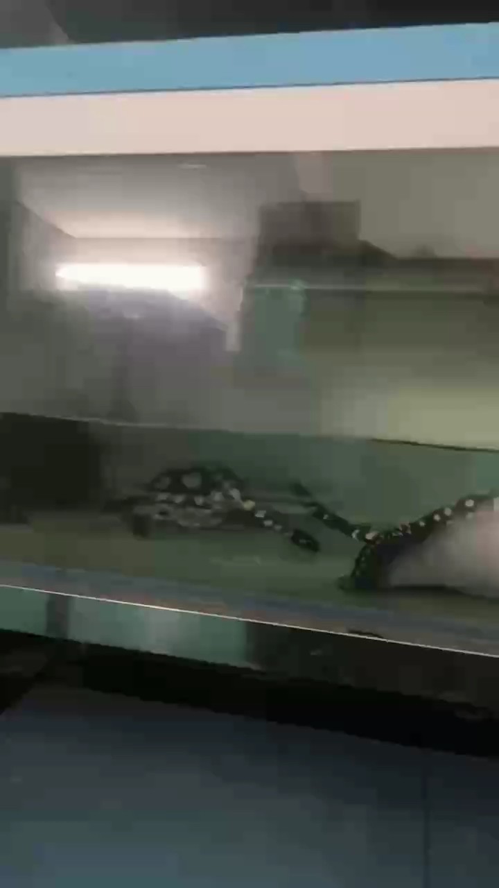 星期日，專屬的悠閑時光與多元生活