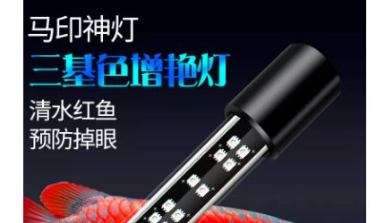 馬印神燈真假難辨? 馬印水族 第3張 馬印神燈真假難辨? 馬印神燈真假難辨? 馬印水族 第3張