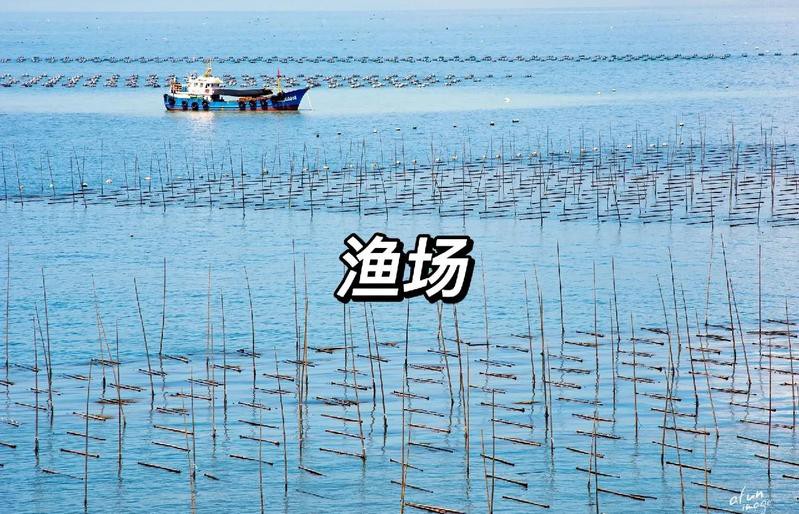 世界著名漁場的分布圖，世界四大漁場分布圖譜：北海道漁場、北海道漁場、秘魯漁場 世界著名漁場的分布圖，世界四大漁場分布圖譜：北海道漁場、北海道漁場、秘魯漁場 龍魚論壇 第7張