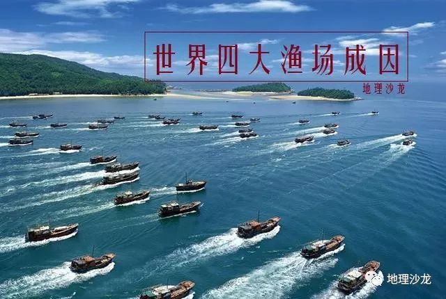 世界著名漁場的分布圖，世界四大漁場分布圖譜：北海道漁場、北海道漁場、秘魯漁場 世界著名漁場的分布圖，世界四大漁場分布圖譜：北海道漁場、北海道漁場、秘魯漁場 龍魚論壇 第1張