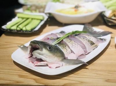 小龍魚膽子小怎么辦：如何處理小龍魚膽子小？ 小龍魚膽子小怎么辦：如何處理小龍魚膽子小？ 龍魚百科