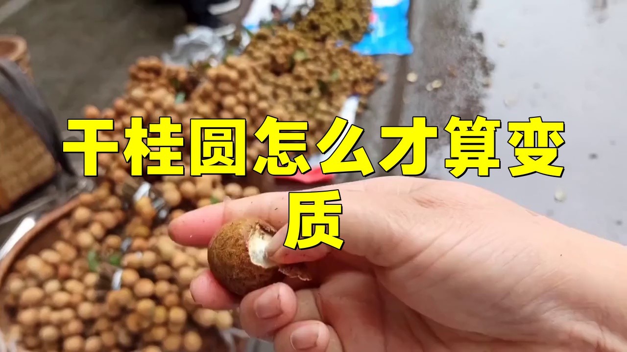 如何判斷龍眼是否變質？