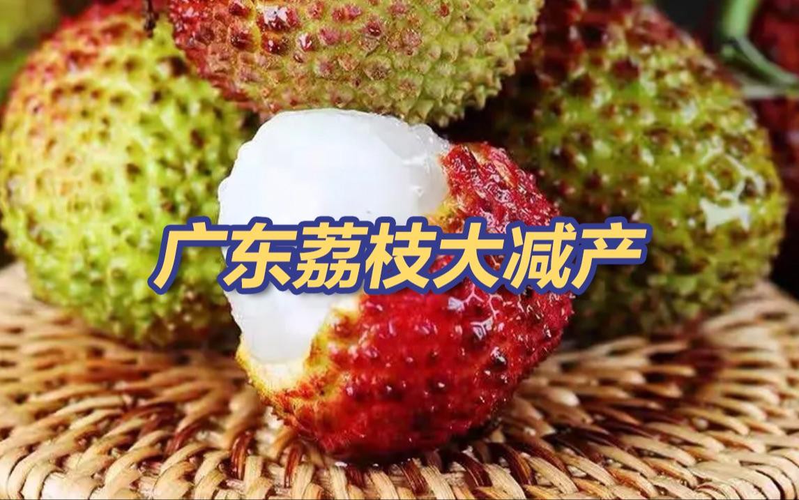 如何判斷龍眼是否變質？