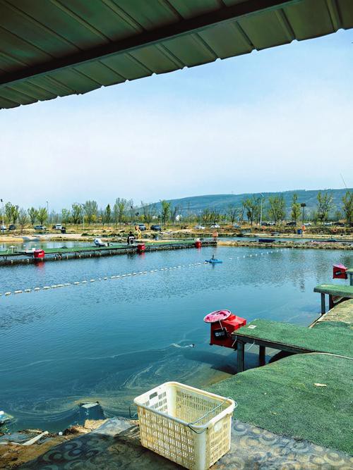 北京哪里的龍魚比較好釣