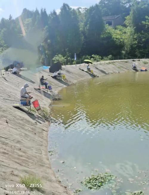 北京哪里的龍魚比較好釣