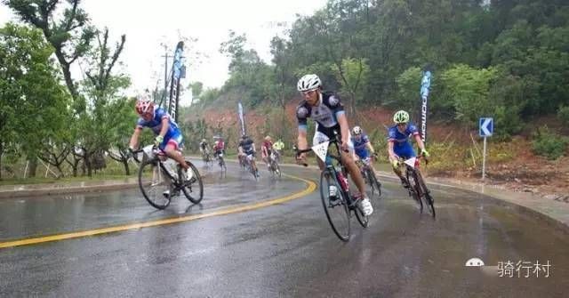 鐵甲龍能量補充方式有哪些？：鐵甲龍的能量補充方式