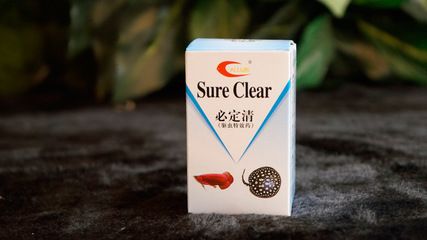 龍魚身上白色的粘附物是什么東西：龍魚身上白色的粘附物是什么？原因分析與解決方法 龍魚身上白色的粘附物是什么東西：龍魚身上白色的粘附物是什么？原因分析與解決方法 龍魚百科 第2張