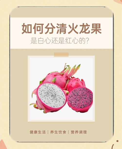 紅龍純血和普通火龍果有何區(qū)別？