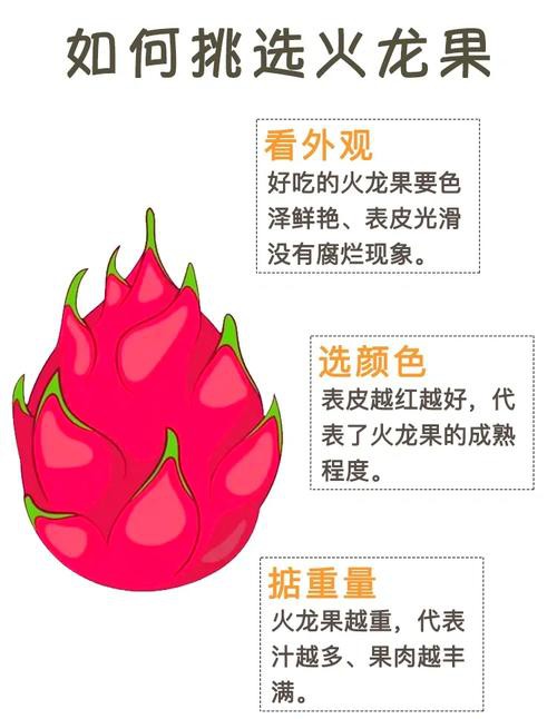 紅龍純血和普通火龍果有何區(qū)別？