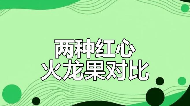 紅龍純血和普通火龍果有何區(qū)別？