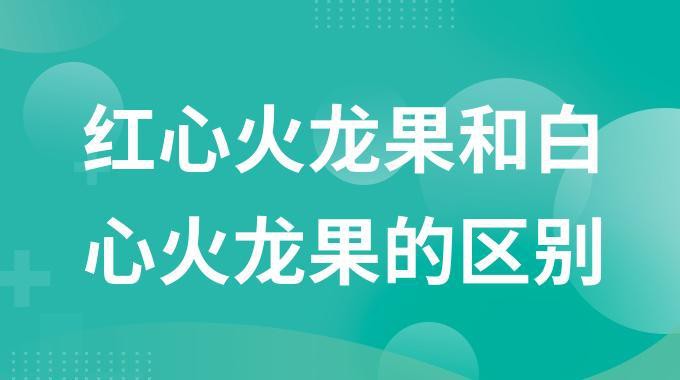 紅龍純血和普通火龍果有何區(qū)別？