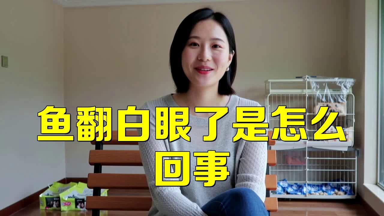 龍魚(yú)白眼病會(huì)復(fù)發(fā)嗎？