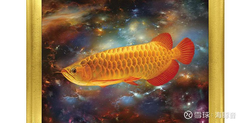 金龍魚品牌在全球的市場份額是多少？