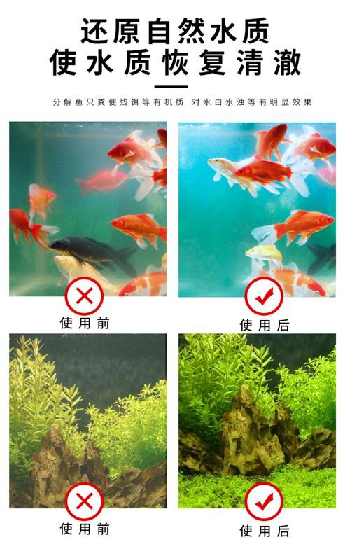 有哪些品牌的水質穩定劑推薦？