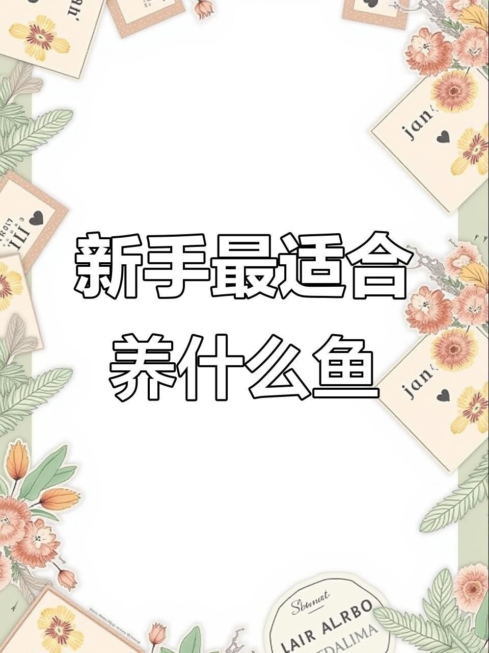 懶人魚耐養(yǎng)的魚