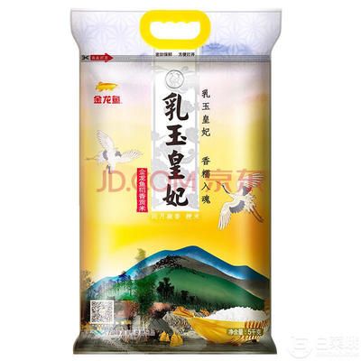 龍魚腸炎的預防措施：如何預防龍魚腸炎的復發 龍魚腸炎的預防措施：如何預防龍魚腸炎的復發 龍魚百科 第2張