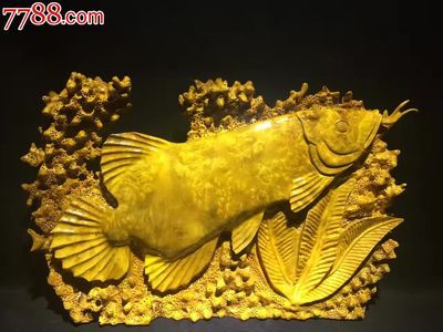 黃金龍魚多少錢（黃金龍魚價(jià)格(黃金龍魚多少錢一條）