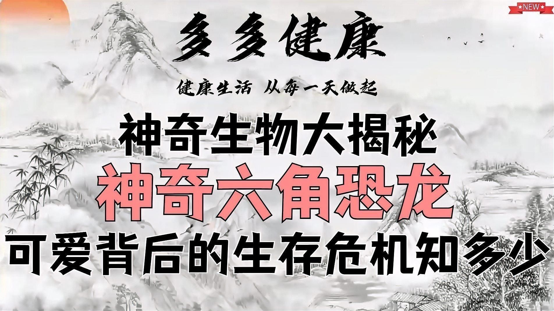 六角龍魚簡介