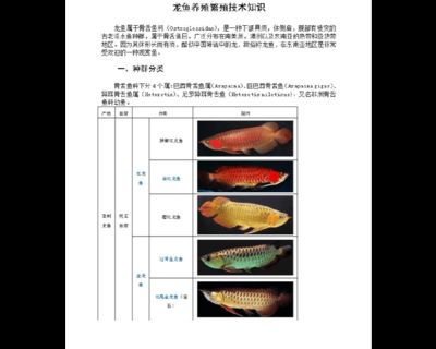 龍魚繁殖技術教程：龍魚的繁殖技術教程 龍魚繁殖技術教程：龍魚的繁殖技術教程 龍魚百科 第4張