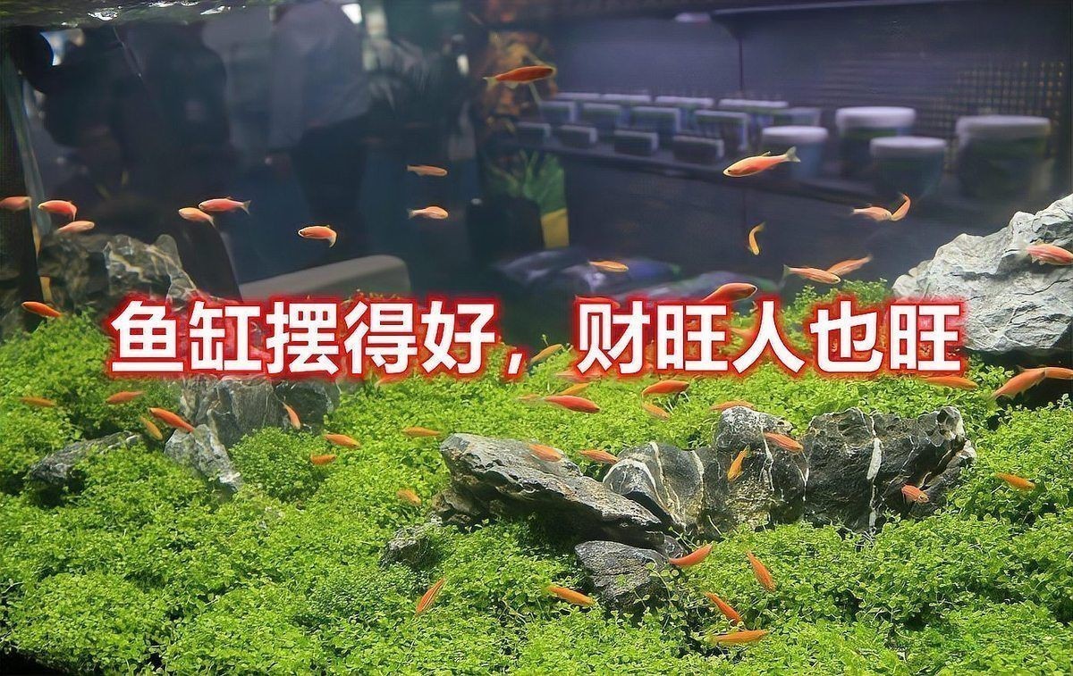 魚缸位置風水示意圖