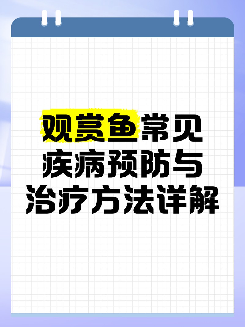 如何預防雷龍魚鰭再次充血？ 如何預防雷龍魚鰭再次充血？ 龍魚百科 第8張