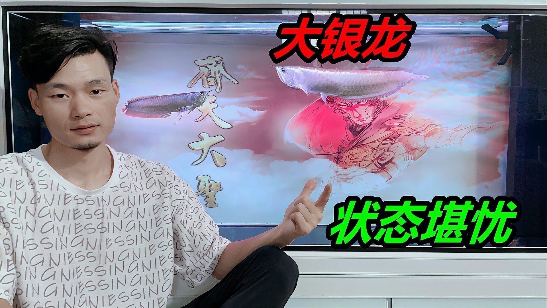 被銀龍魚咬了有事嗎