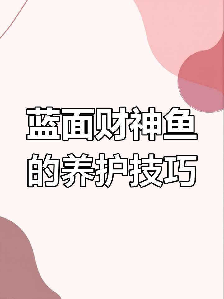 藍面財神魚生產地