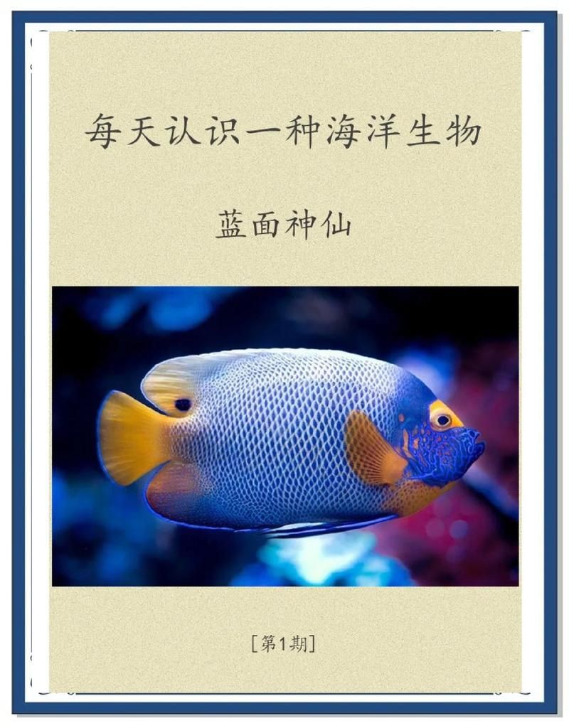 藍面財神魚生產地