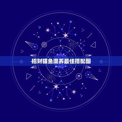 招財貓魚混養環境布置技巧：如何在招財貓魚混養系統中布置適宜的生活環境