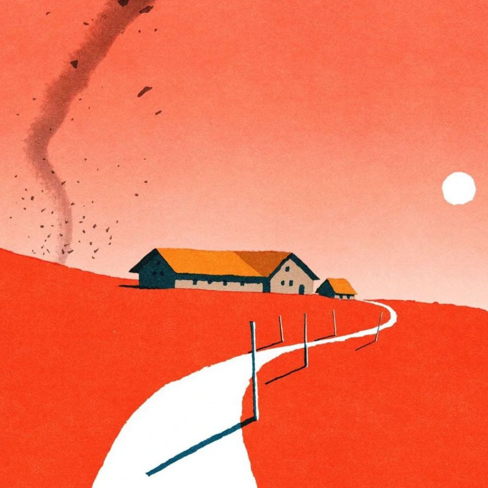 金龍魚的智商相當(dāng)于人幾歲 金龍魚的智商相當(dāng)于人幾歲 龍魚百科 第4張