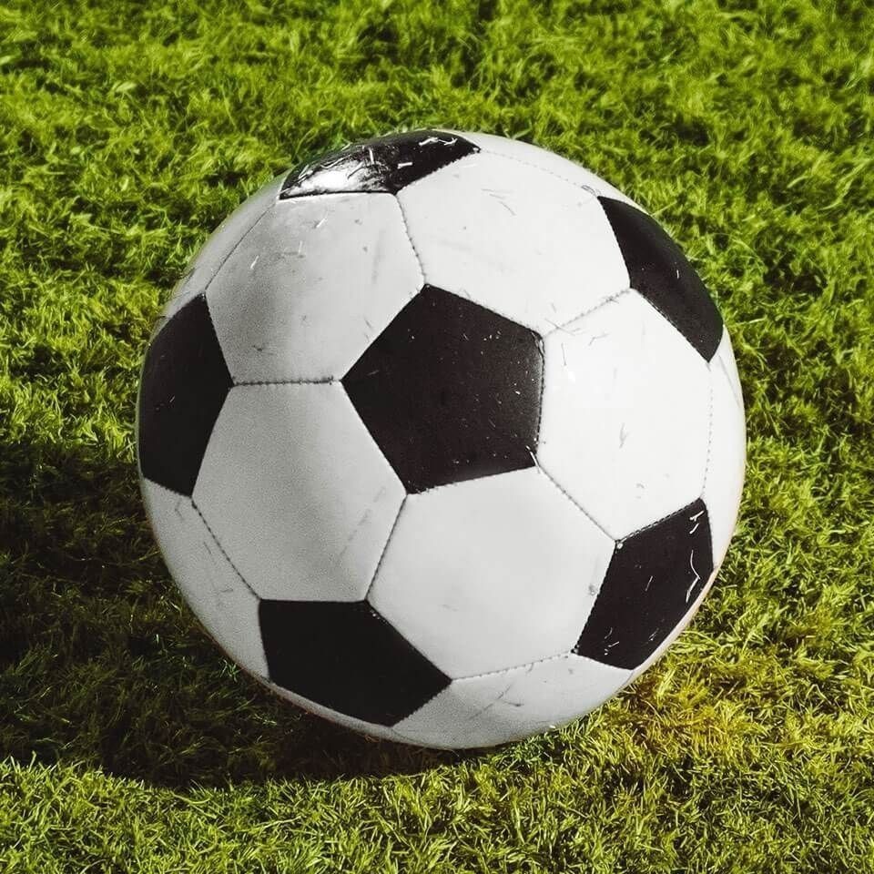 金龍魚的智商相當(dāng)于人幾歲 金龍魚的智商相當(dāng)于人幾歲 龍魚百科 第12張