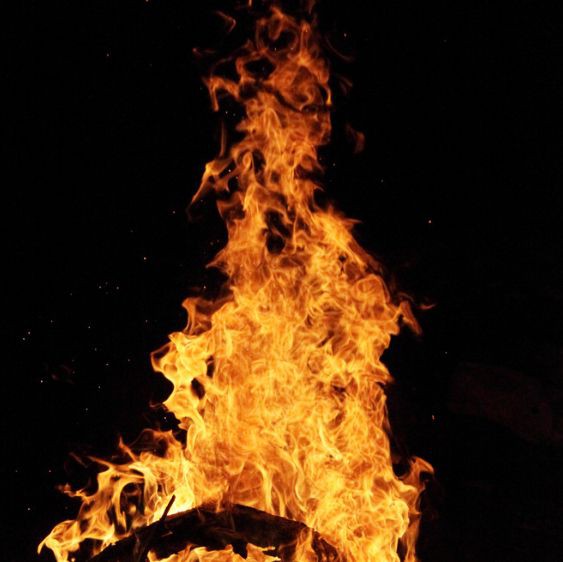 金龍魚的智商相當(dāng)于人幾歲 金龍魚的智商相當(dāng)于人幾歲 龍魚百科 第2張