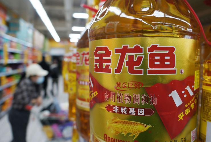 鄭州哪里賣金龍魚好點