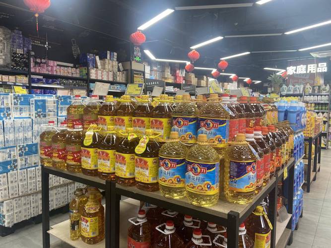 鄭州哪里賣金龍魚好點
