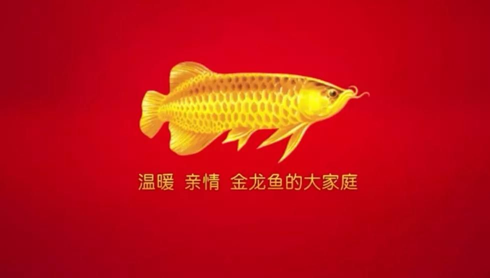 金龍魚英文商標：金龍魚的英文商標是\"